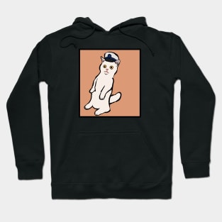 Captain Cat Meme Hoodie